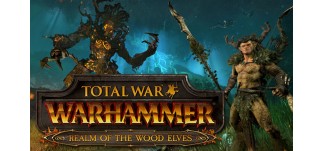 Купить Total War : WARHAMMER - The Realm of the Wood Elves