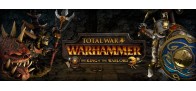 Total War : WARHAMMER - The King and the Warlord