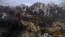Скриншот №4 Total War : Warhammer