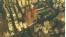 Скриншот №10 Cities Skylines: Content Creator Pack: Art Deco