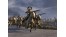 Скриншот №6 Medieval II : Total War Collection