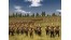 Скриншот №6 Total War : Rome Collection