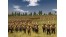 Скриншот №17 Total War : Rome Collection